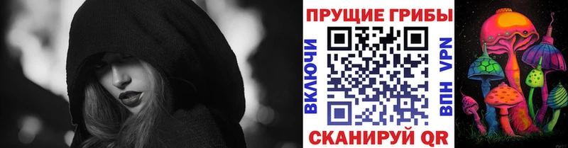 Псилоцибиновые грибы Psilocybe  сайты даркнета официальный сайт  Поронайск 